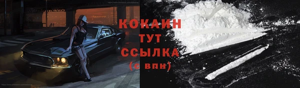 трава Абаза