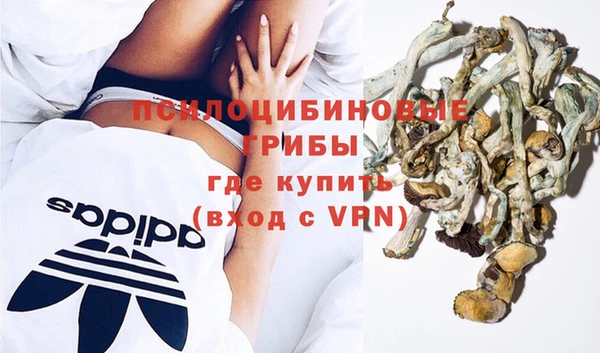 трава Абаза
