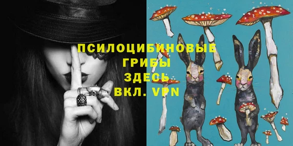 трава Абаза