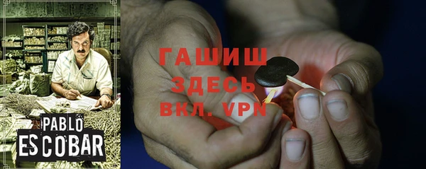 прущие грибы Переславль-Залесский